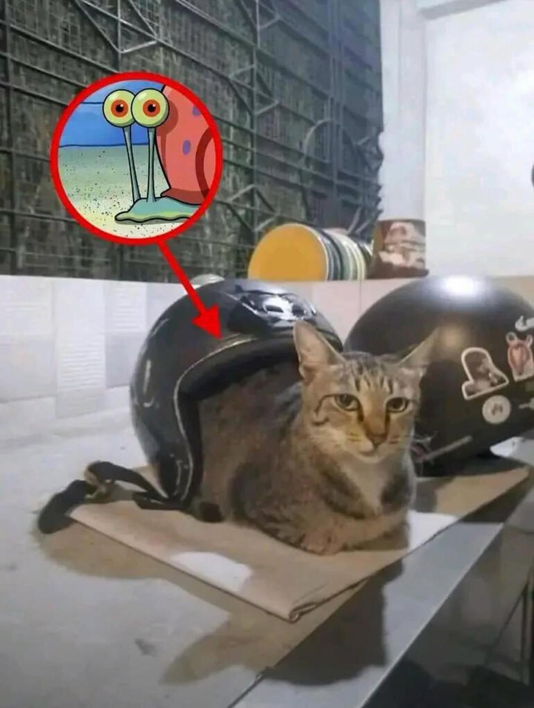 Gary