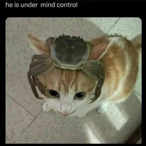 Save him!