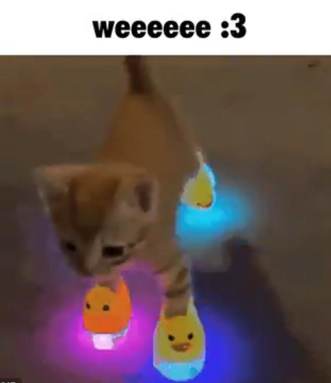 Kittie :3