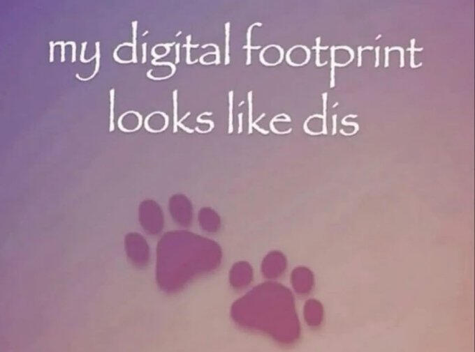 Paws :3
