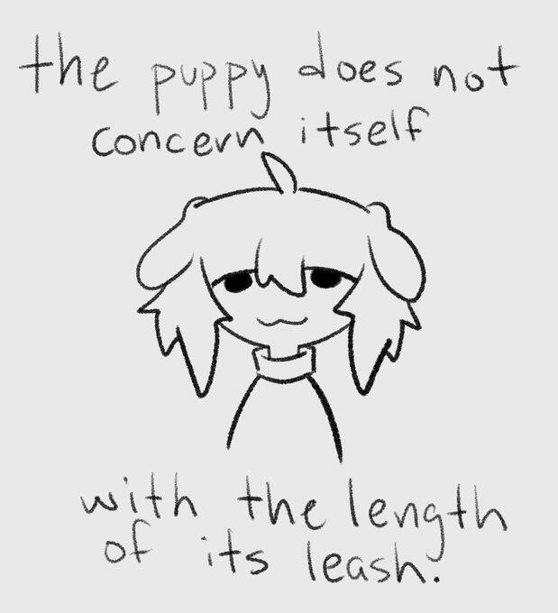 Wisdom