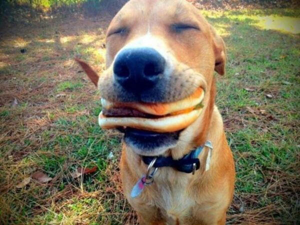 Happy fella